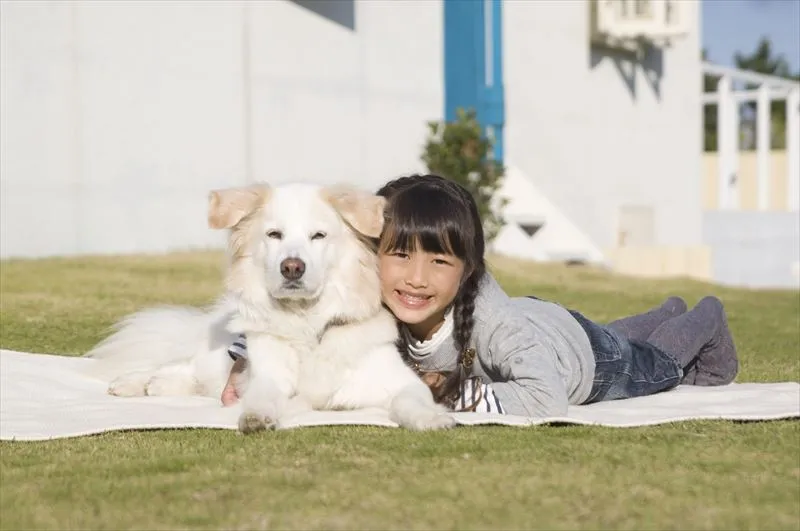 子供やペットに適した庭づくりのポイント